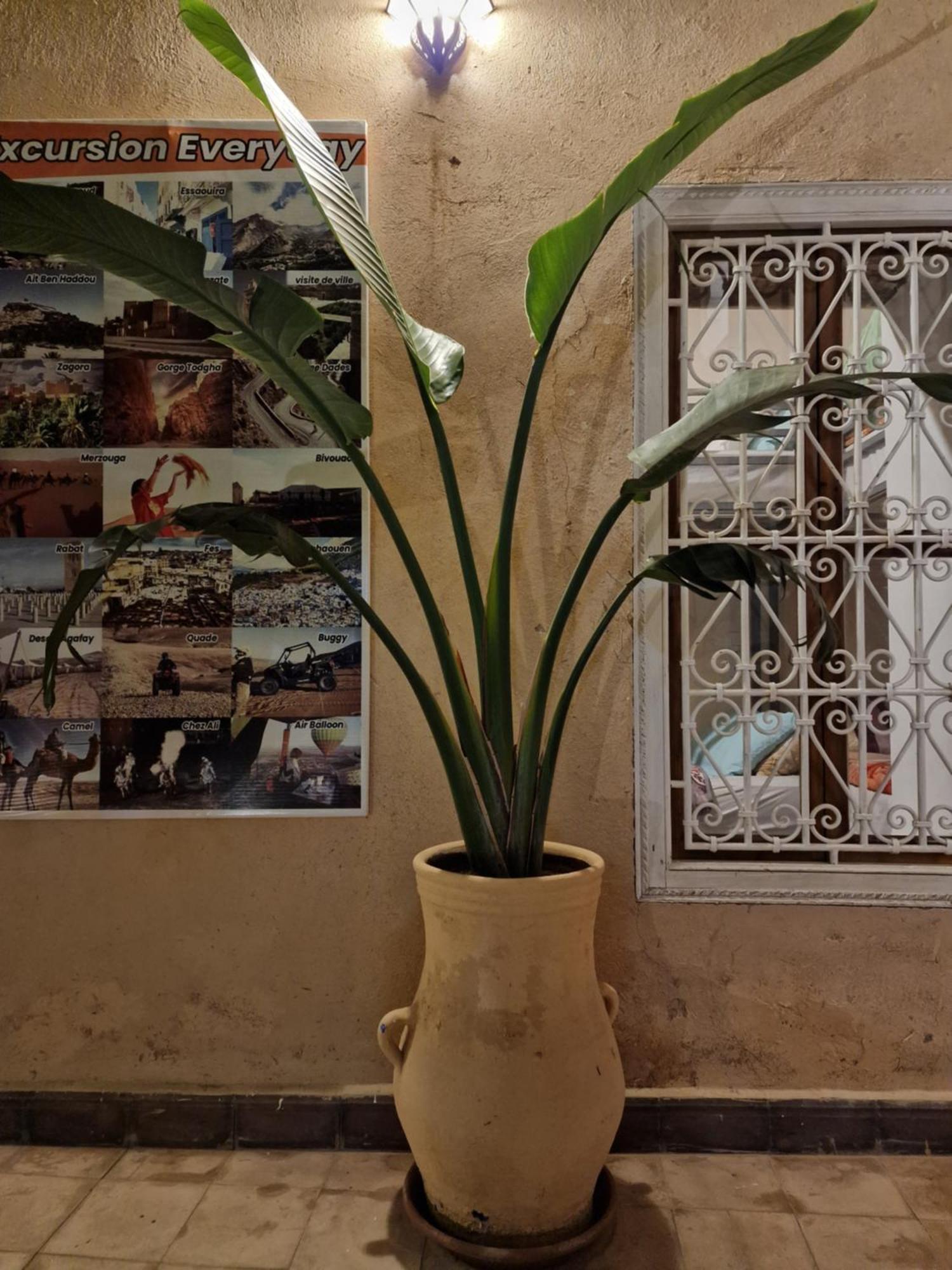 Hostel Laksour Marrakesh Luaran gambar